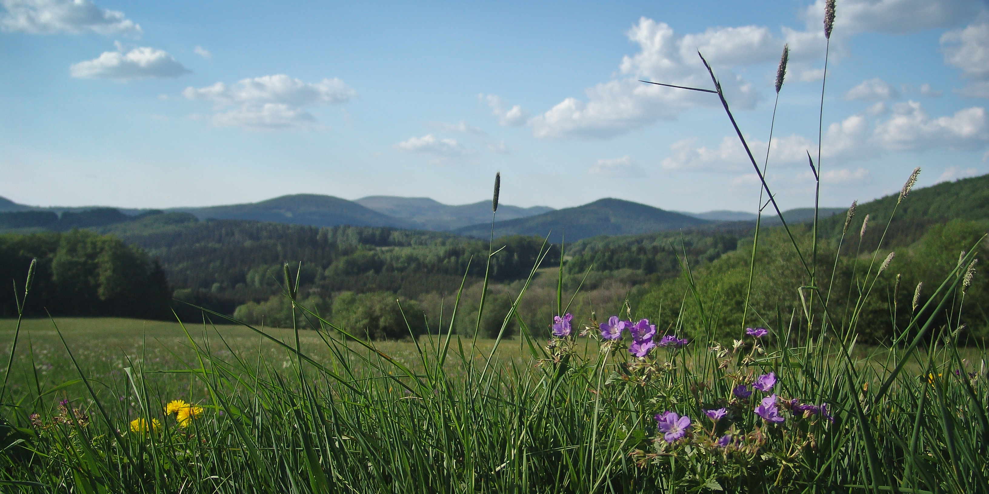 Blick vom Farnsberg auf die Rhön, I. Queck offene Landschaft der Rhön, Bergwiesen