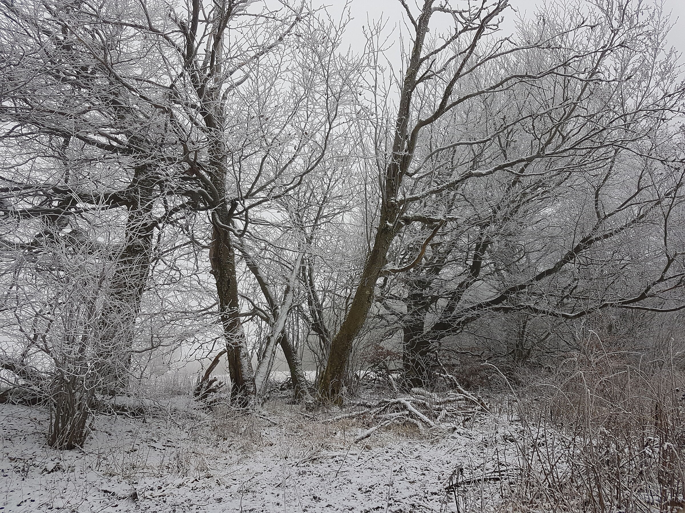 Winter im Biosphärenreservat Rhön